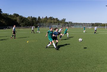 Bild 245 - wBJ FSG Kaltenkirchen - MSG Siebenbaeumen-Krummesse : Ergebnis: 2:5